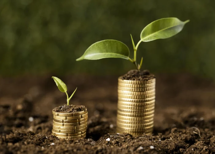 front-view-coins-stacked-dirt-with-plants.opti